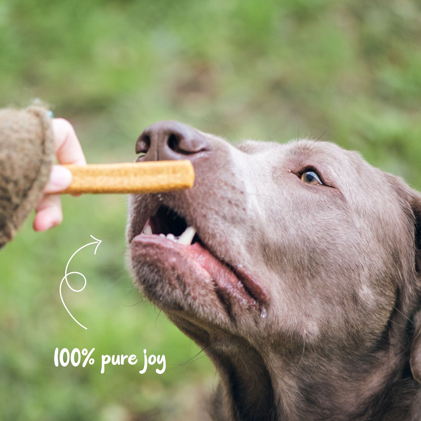 Cruncheez Cheese & Bacon Biscuit Batons 250g