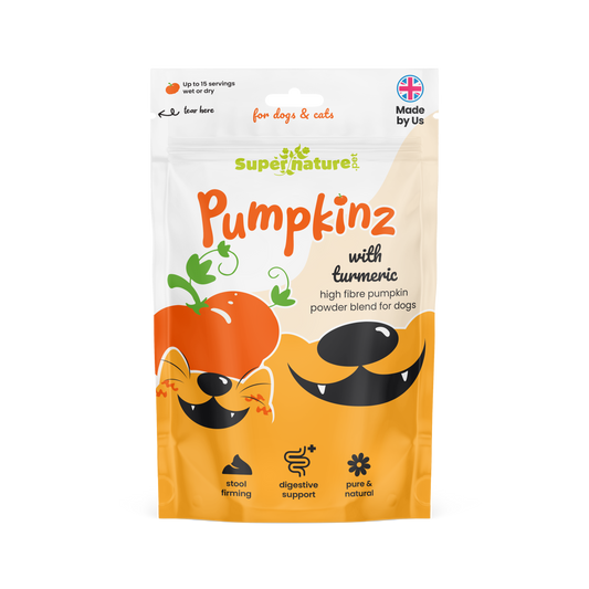 Pumpkinz Dried Pumpkin Powder with Turmeric