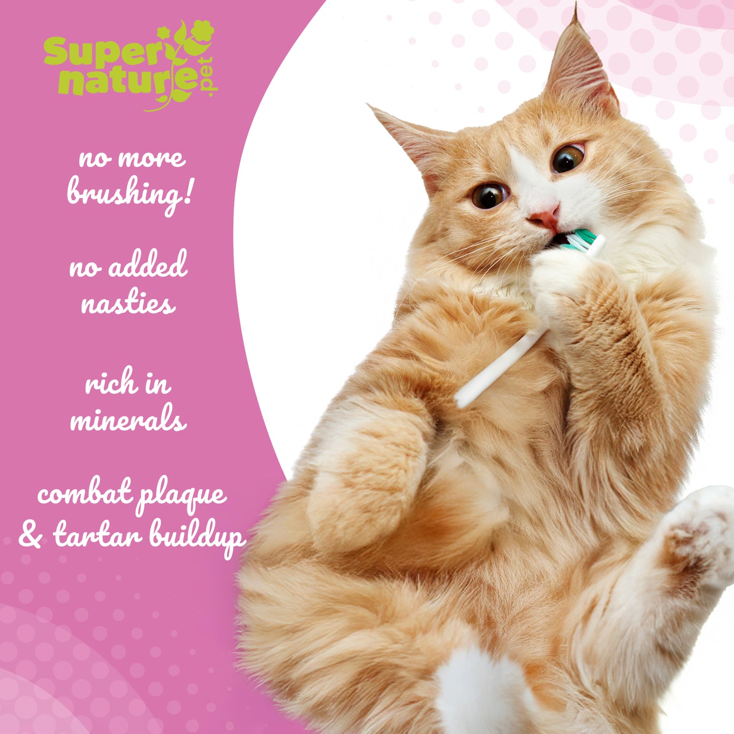 Plaque Remover for Cats 60g