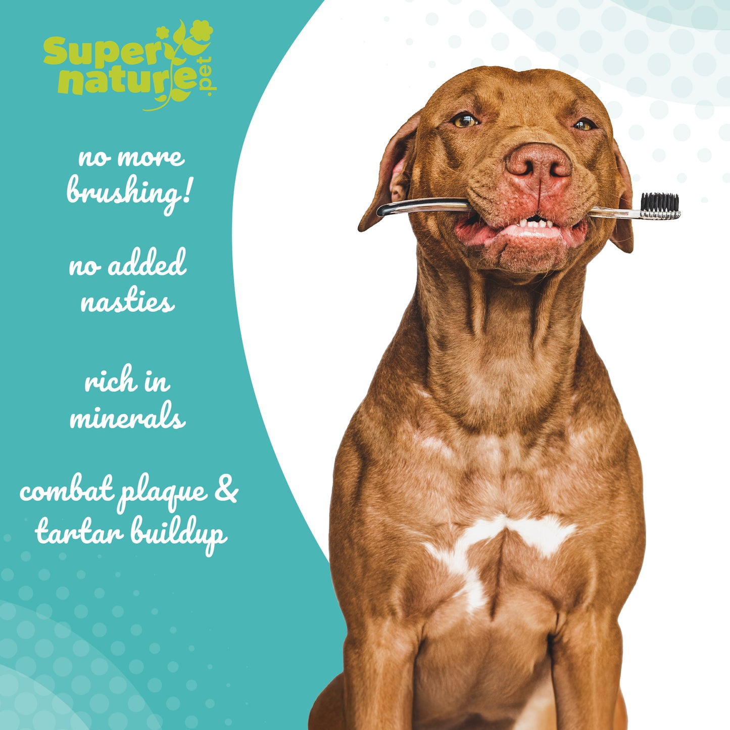 Plaque Remover for Dogs 60g