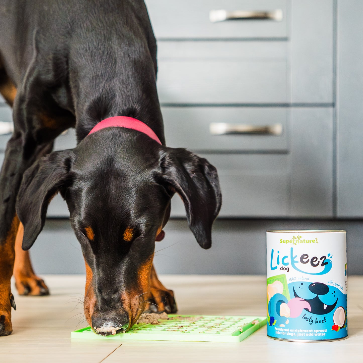 Lickeez Beef Enrichment Spread Mix for Dogs 290g