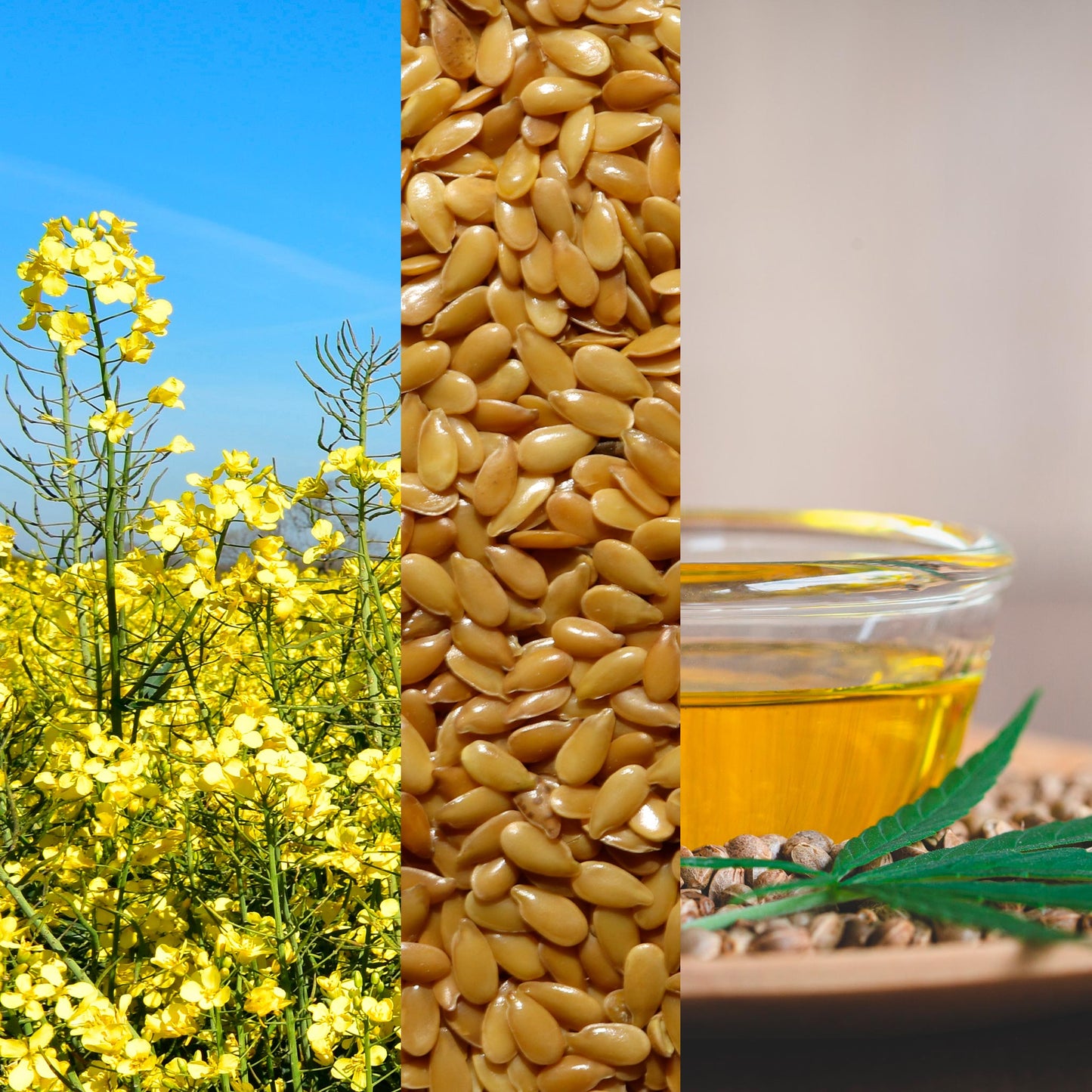 Oileez Omega Oil for Dogs & Cats 500ml