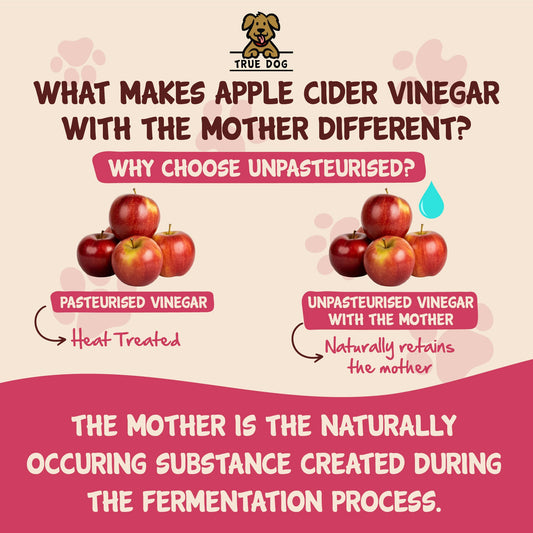 True Dog Apple Cider Vinegar graphic: Unpasteurised Vinegar naturally retains the mother, which is created during the fermentation process.