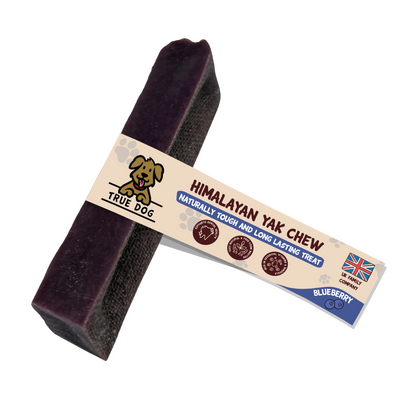 True Dog Himalayan Yak Chew Blueberry, a naturally tough and long lasting treat for dogs.
