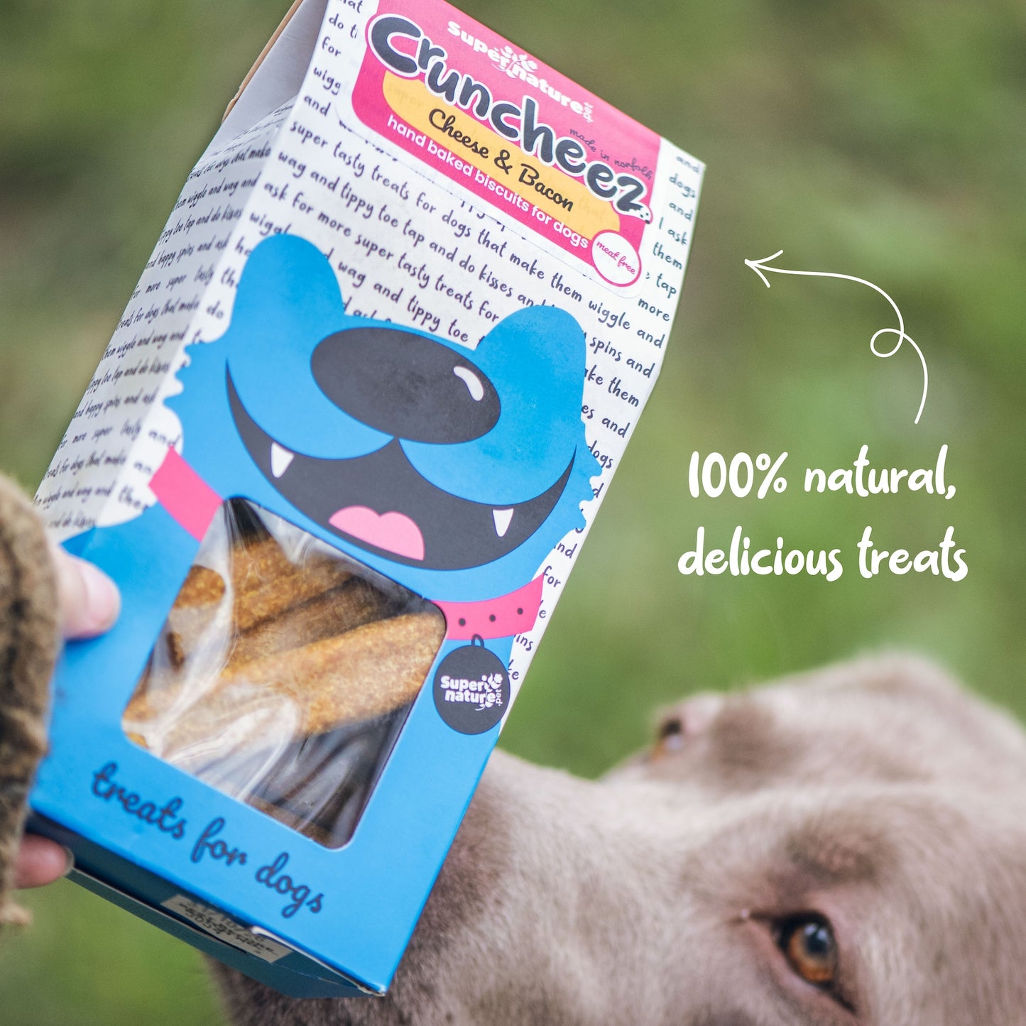 Cruncheez Cheese & Bacon Biscuit Batons 250g