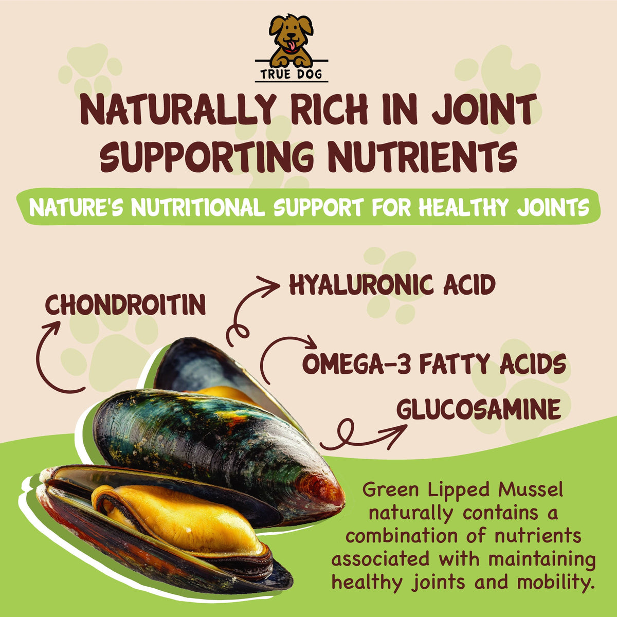 True Dog graphic: Naturally rich in joint supporting nutrients: chondroitin, hyaluronic acid, omega-3 fatty acids, glucosamine.