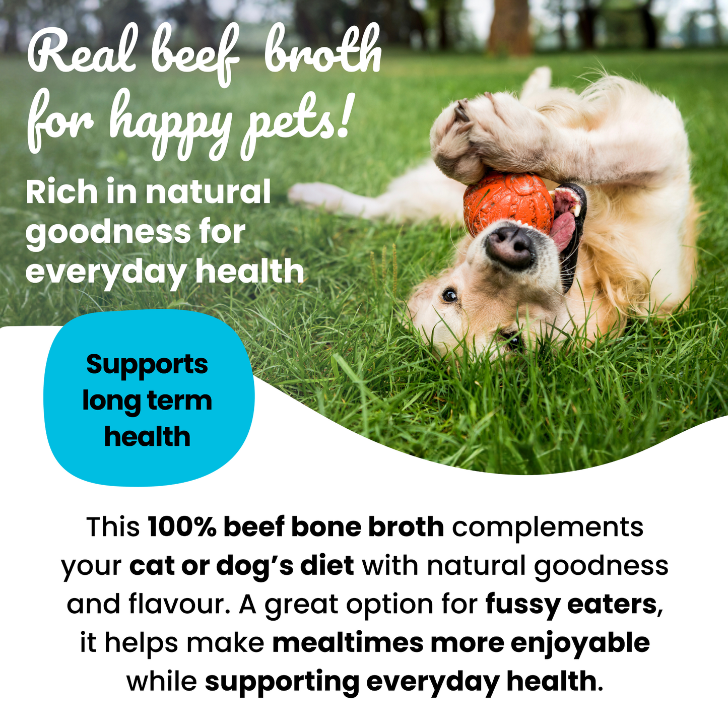 Slurpeez Bone Broth Powder 100% Beef 60g