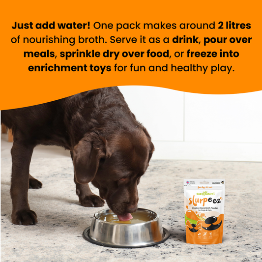 Slurpeez Bone Broth Powder 100% Chicken 60g