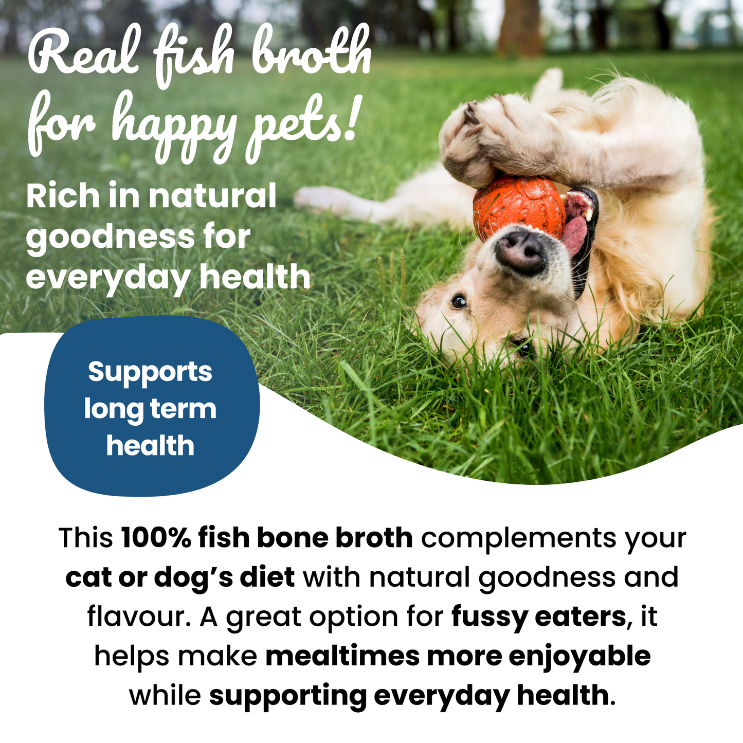 Slurpeez Bone Broth Powder 100% Fish 60g