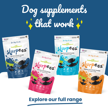 Slurpeez Bone Broth Powder 100% Fish 60g