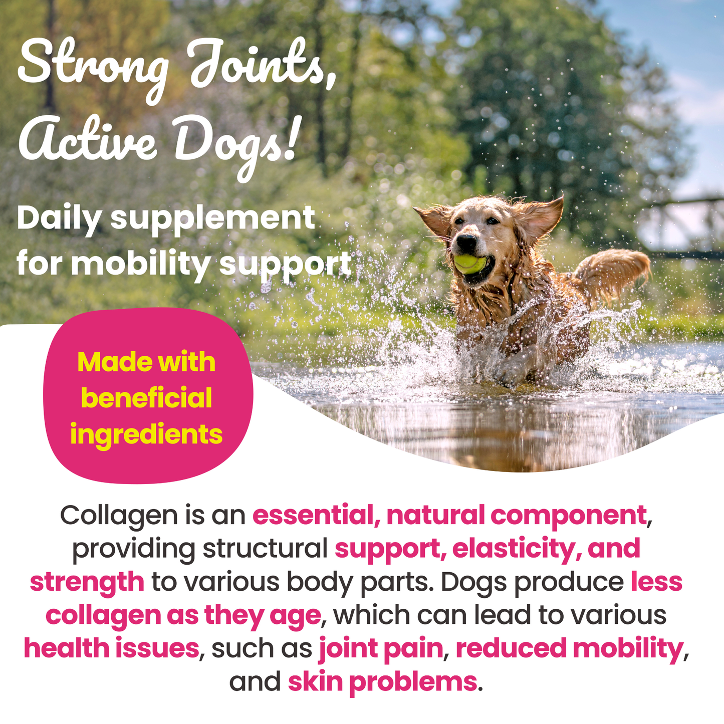 Super Collagen Boost Supplement for Dogs 250g