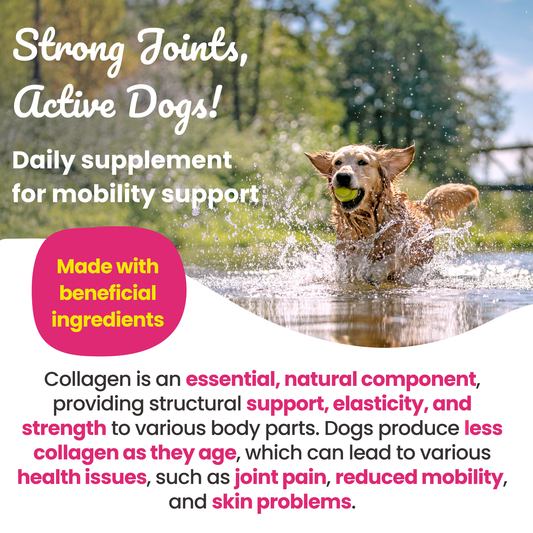 Super Collagen Boost Supplement for Dogs 250g