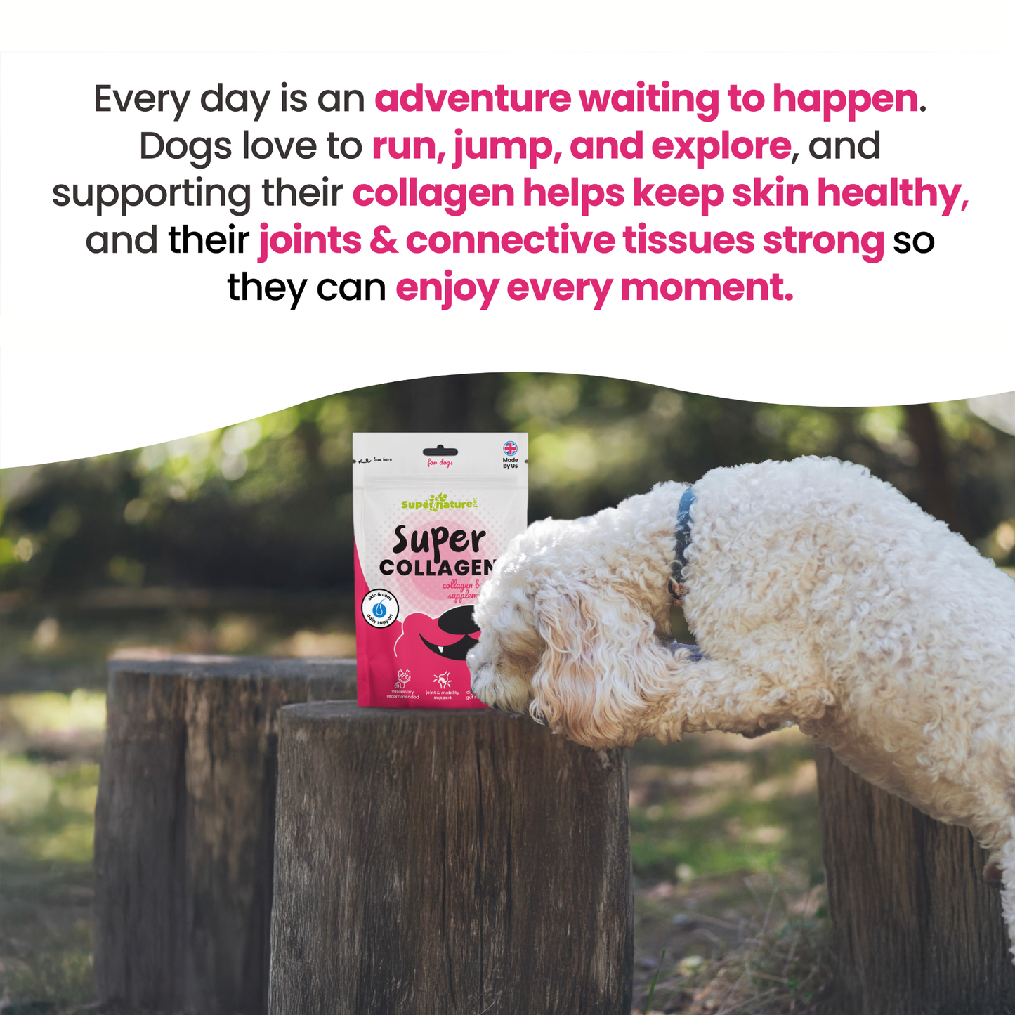 Super Collagen Boost Supplement for Dogs 250g