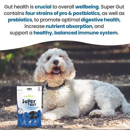 Super Gut Pre, Post & Probiotic Supplement for Dogs