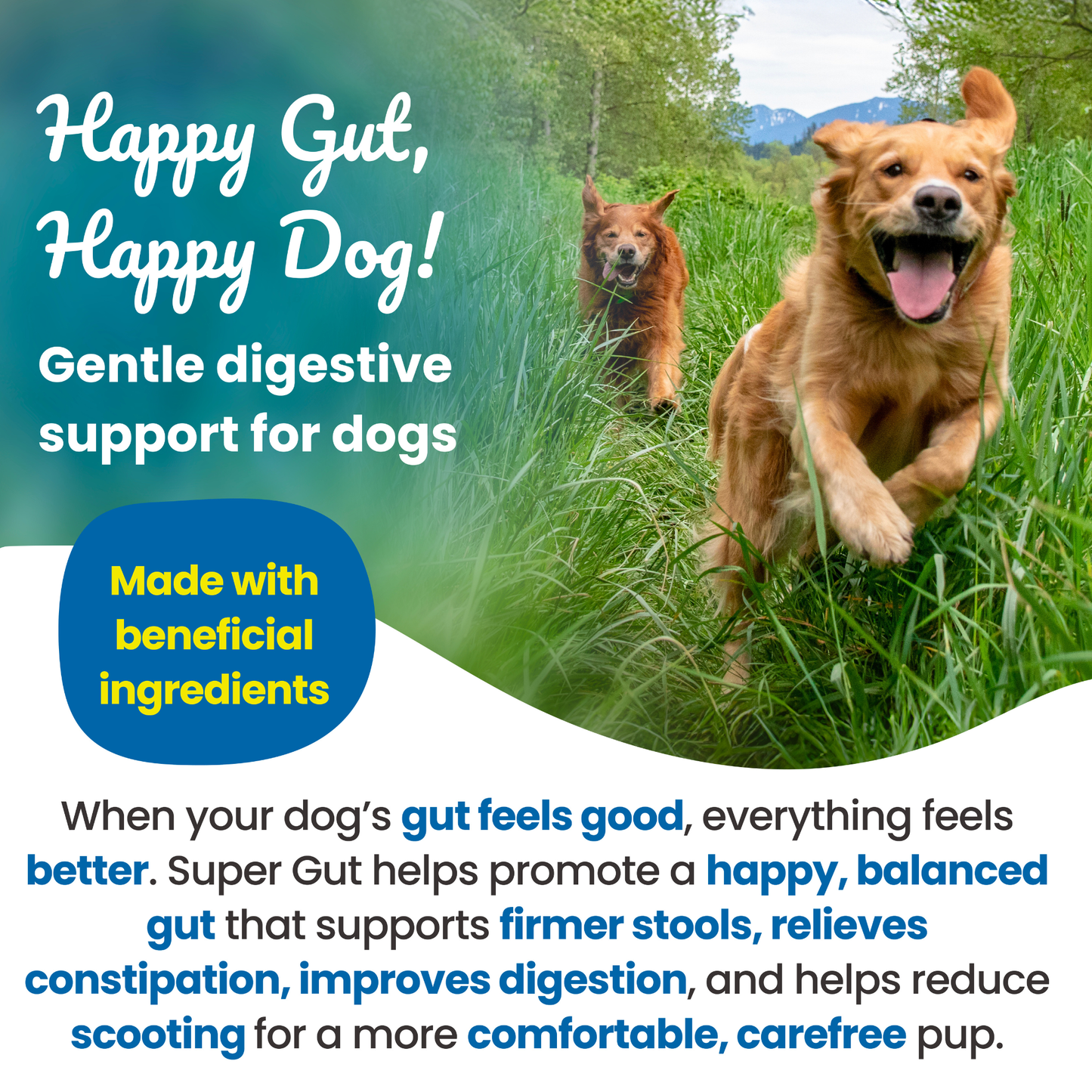 Super Gut Pre, Post & Probiotic Supplement for Dogs