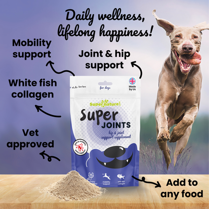 Super Joints Hip & Joint Support Supplement for Dogs