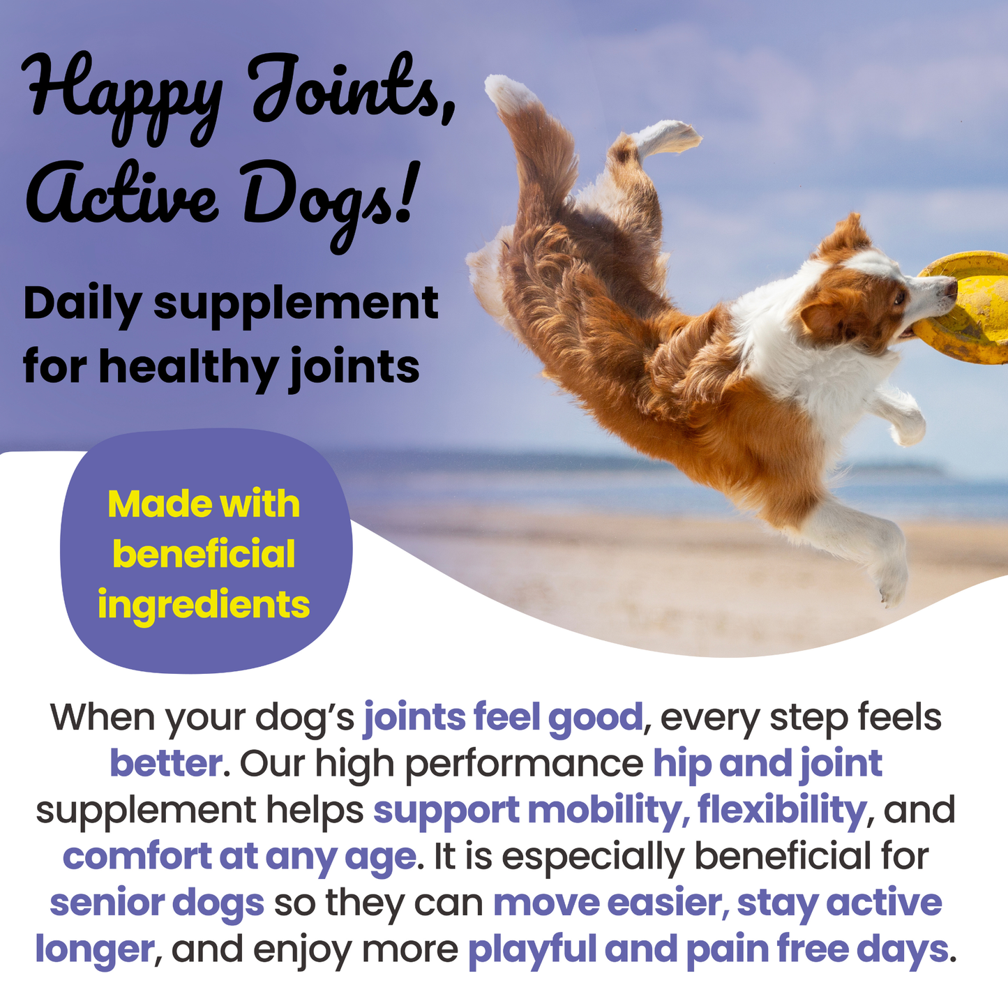 Super Joints Hip & Joint Support Supplement for Dogs