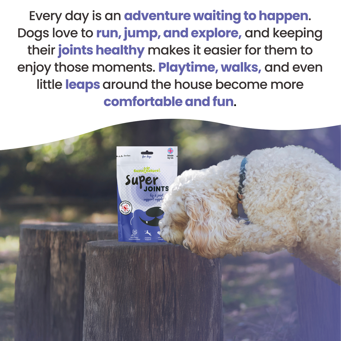 Super Joints Hip & Joint Support Supplement for Dogs