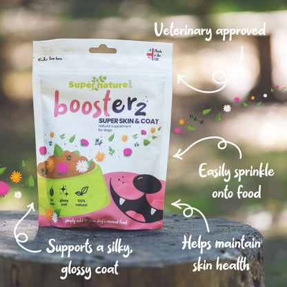 Boosterz Super Skin Supplement for Dogs 125g