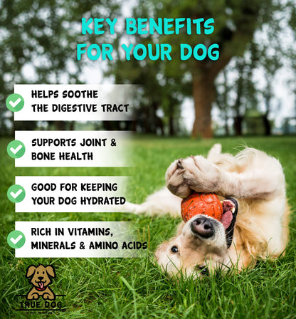 True Dog Chicken Bone Broth Benefits graphic: soothes digestion, supports joints & bones, improves hydration, and rich in vitamins & minerals.