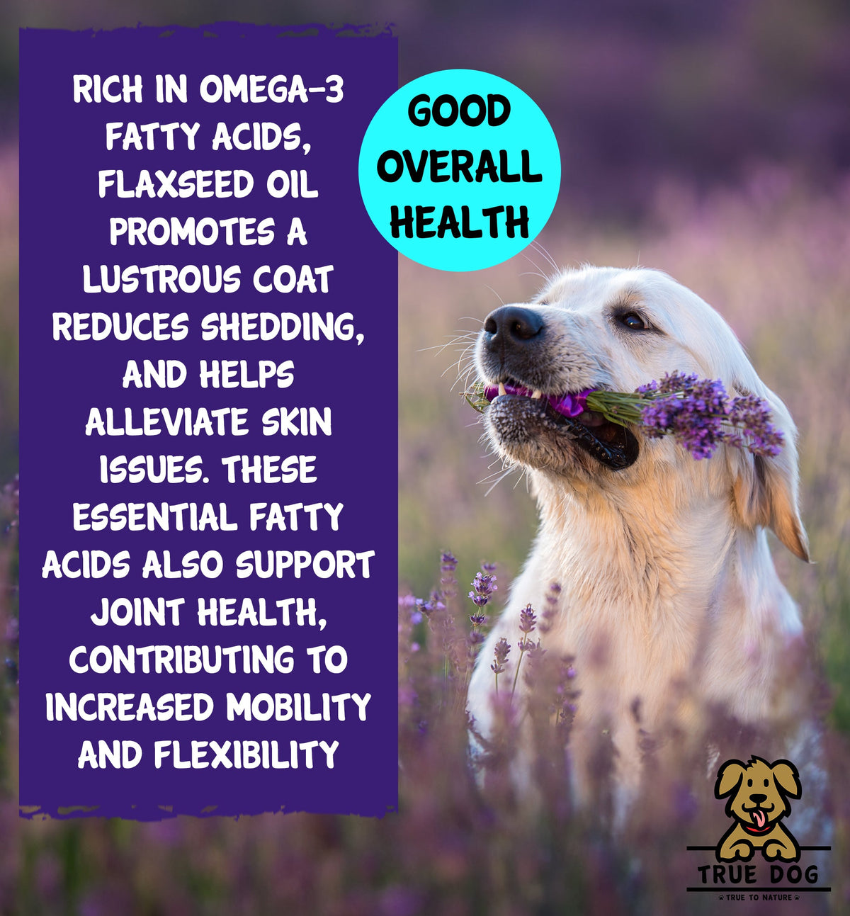 True Dog Flaxseed Oil graphic: rich in omega-3 fatty acids, supports shiny coat and reduces shedding. Supports joint health and mobility.