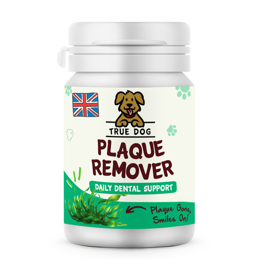 True Dog Plaque Remover Daily Dental Support for Dogs, in a 60g tub, front view.