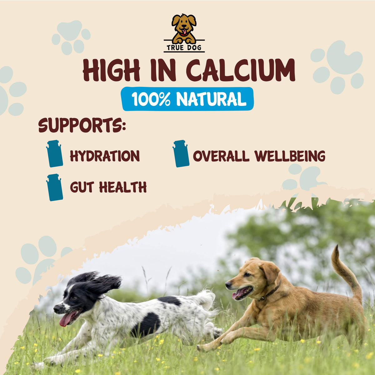True Dog Goats Milk Powder Graphic: High in calcium, 100 natural, supports hydration, overall wellbeing, and gut health.